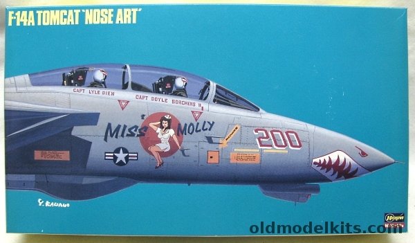 Hasegawa 1/72 F-14A Tomcat Nose Art - Miss Molly  VF-111 USS Carl Vinson, SP31 plastic model kit